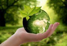 Zero waste może uratować planetę