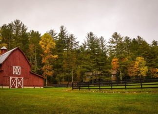 Walory schodów drewnianych Walory schodów drewnianych