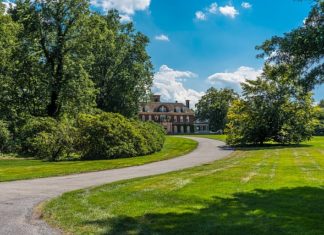 Moda na kozę – styl i wygoda