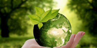 Zero waste może uratować planetę