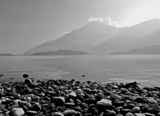 Ile kosztuje wymiana wybieraka skrzyni biegów? Ile kosztuje wymiana wybieraka skrzyni biegów?