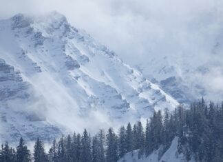 Co jeśli przegląd kończy się w niedzielę?