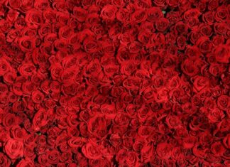 Czym się różni k od KF?