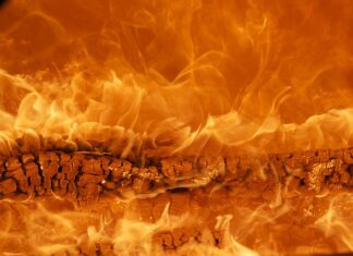 Jaka jest najlepsza marka ciągników?