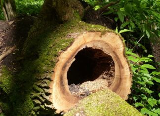 Co grozi za dziurawy tłumik?