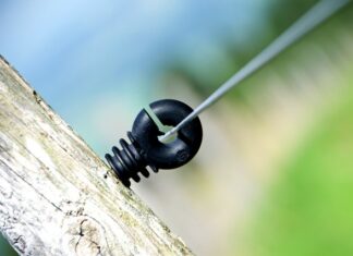 Ile procent Polaków nosi kalesony?